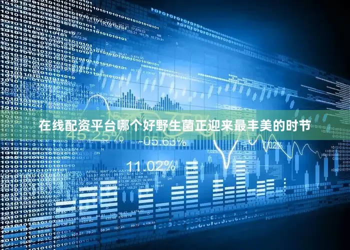 在线配资平台哪个好野生菌正迎来最丰美的时节