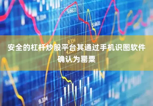 安全的杠杆炒股平台其通过手机识图软件确认为罂粟