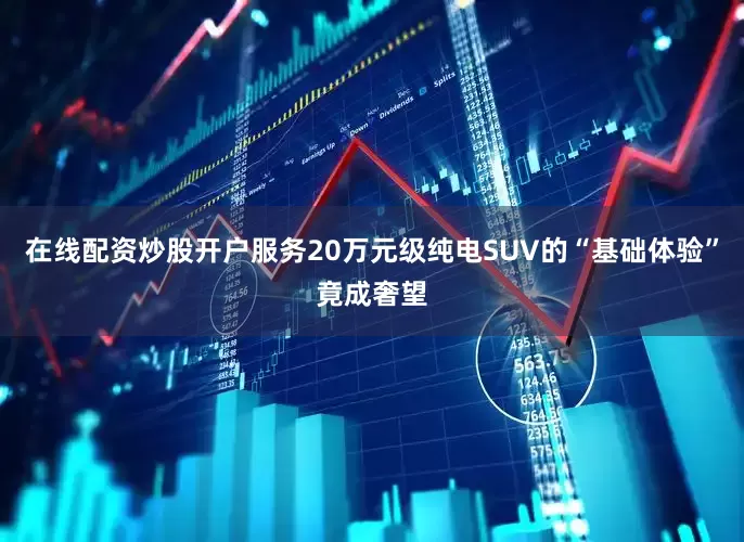 在线配资炒股开户服务20万元级纯电SUV的“基础体验”竟成奢望