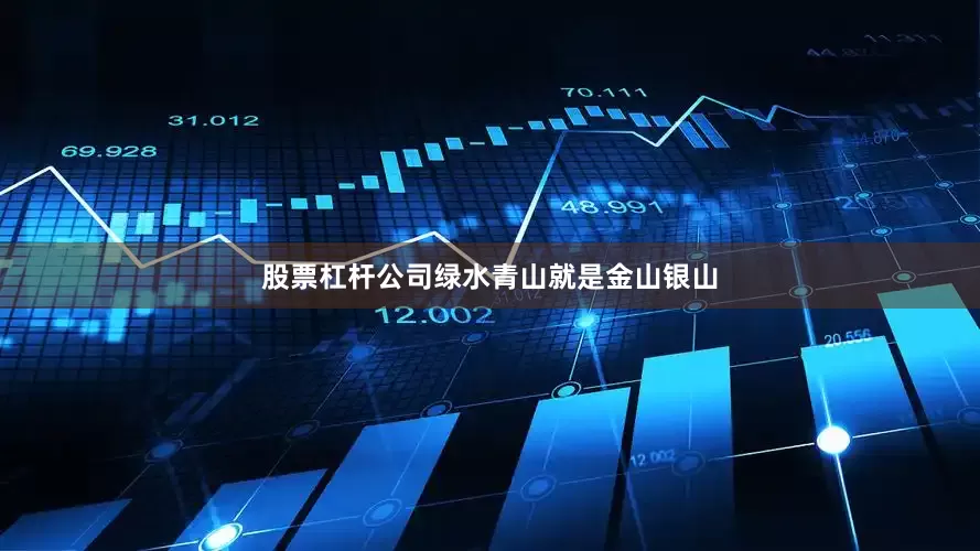 股票杠杆公司绿水青山就是金山银山
